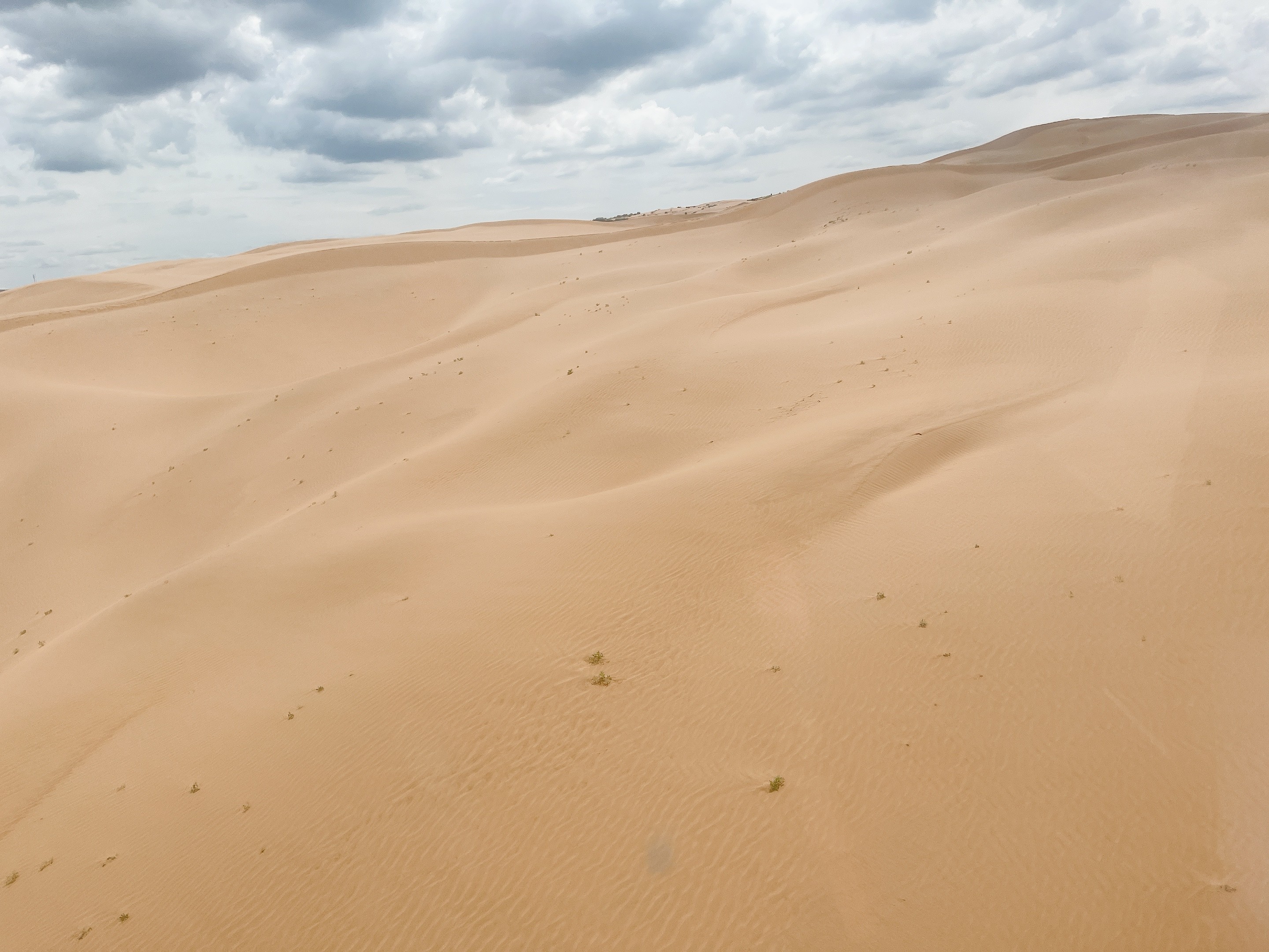 1628249846320572.jpg 圖片關鍵詞